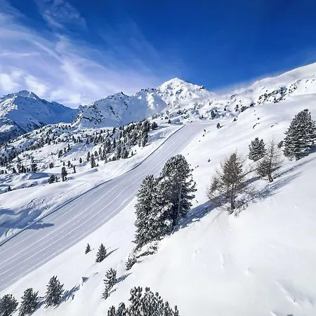 Christiania 2 O1 By Interhome Διαμέρισμα Nendaz